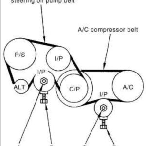 Nissan Elgrand Auxiliary Belt Kit diagram showing the Alternator belt and the air conditioning belt positioning. The belts are made of black rubber and 2 are included in this set.