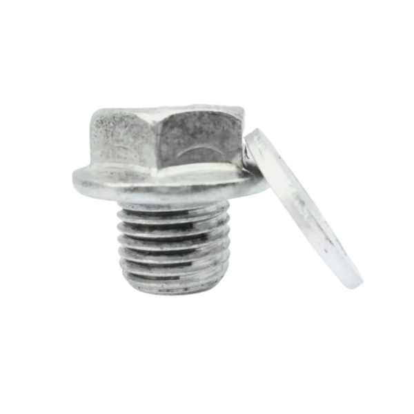 Honda Elysion Stepwagon Sump Plug & Washer
